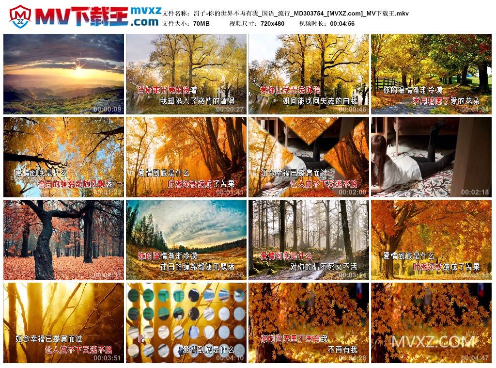 涓子-你的世界不再有我_国语_流行_MD303754
